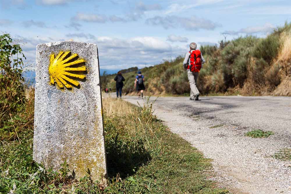 mochilas camino santiago